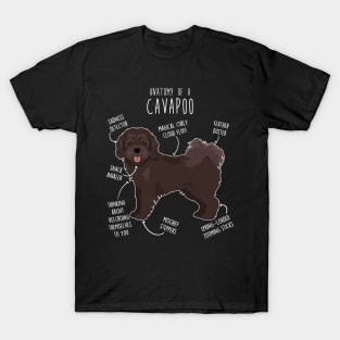 Chocolate Cavapoo Dog Anatomy T-Shirt